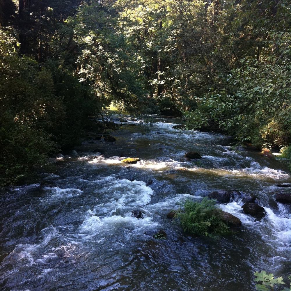 Meet your Posher, Lsh